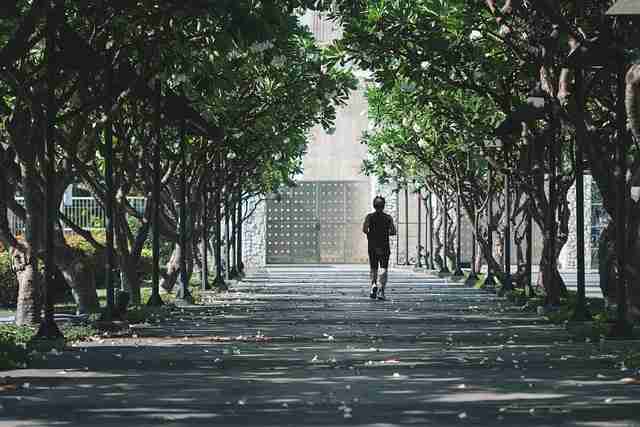 探花精选动态互动结构重组｜内容结构再平衡尝试模式全面焕新